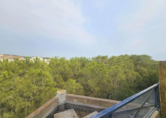 Appartement 2 Pieces Avec Terrasse Et Piscine A - Fr-1-553-311